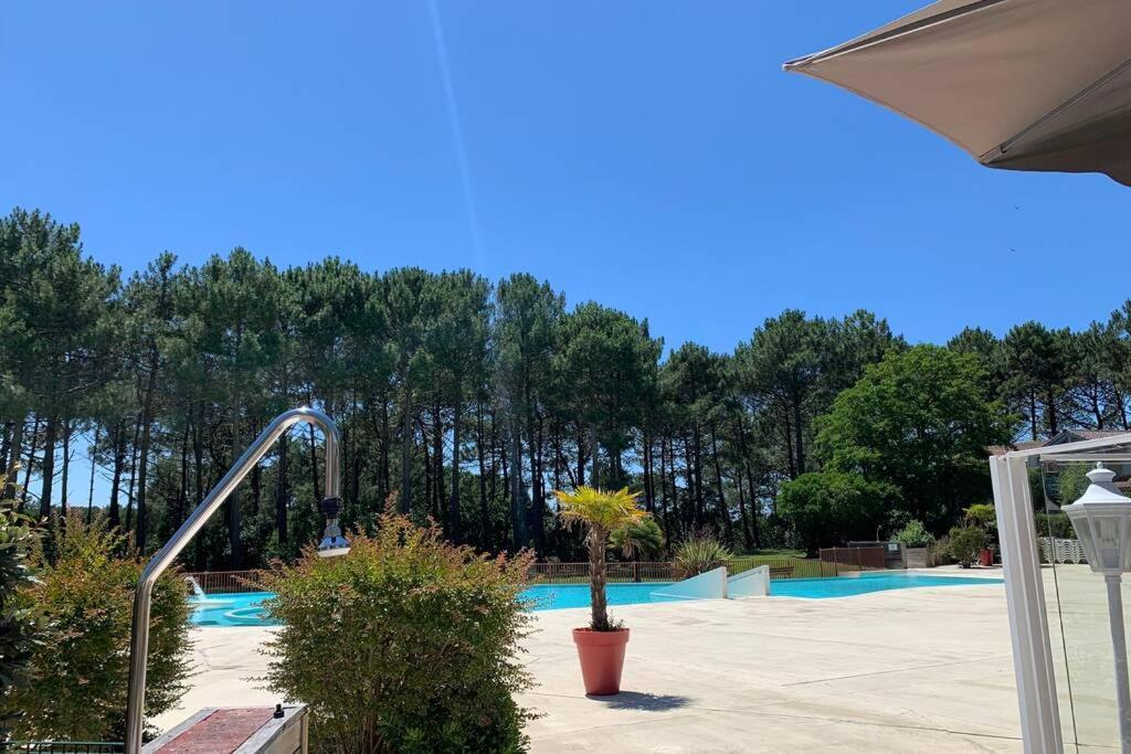 Appartement T2 1Chambre 4-5 Personnes - Lacanau - Piscine - Vue Sur Le Golf Dış mekan fotoğraf